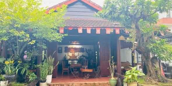 Không gian Cây Ngô Đồng — Chốn bình yên giữa phố