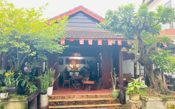 Không gian Cây Ngô Đồng — Chốn bình yên giữa phố